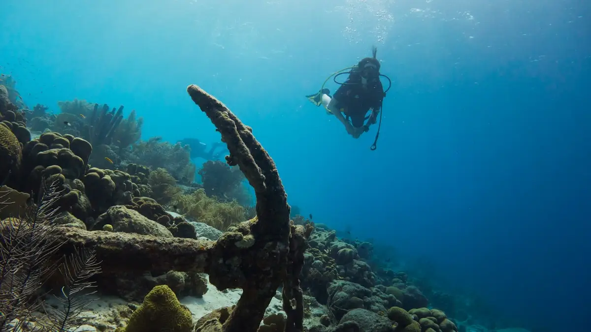 Discover Scuba (Beginner Intro)