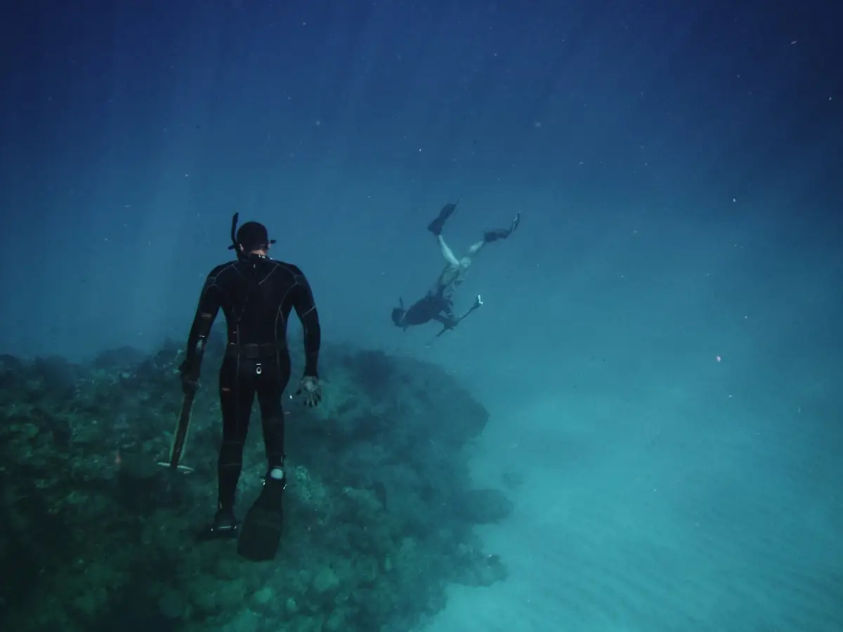 Freediving / Snorkeling Trip