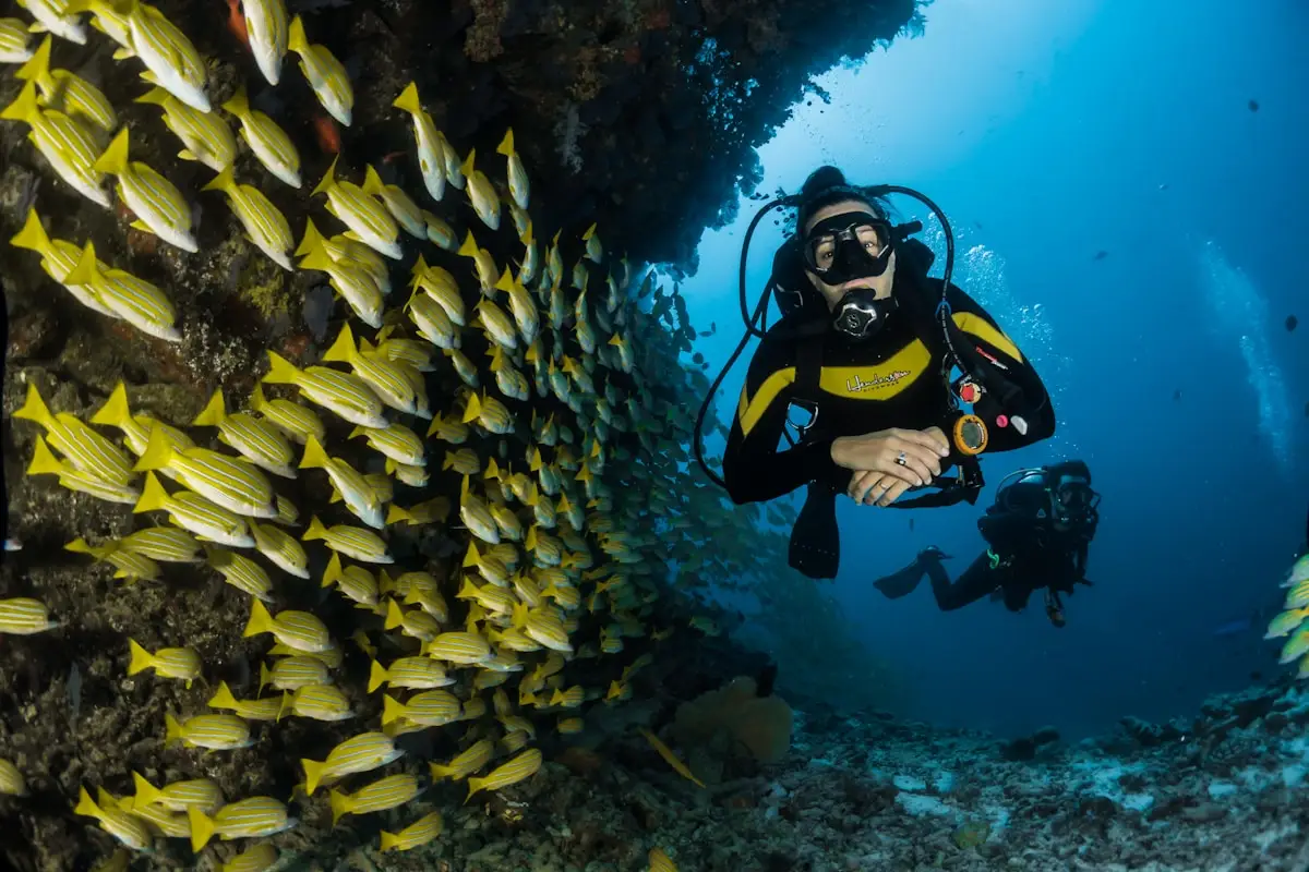 2 Fun Dives (Certified)