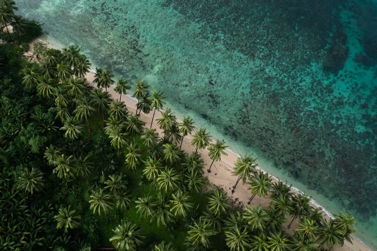 Turquoise tropical water and coastline near a Bali dive site