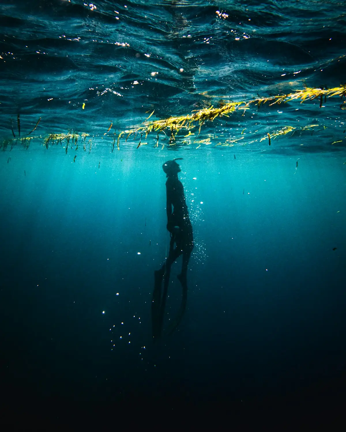 Freediver ascending through the deep blue off Bali