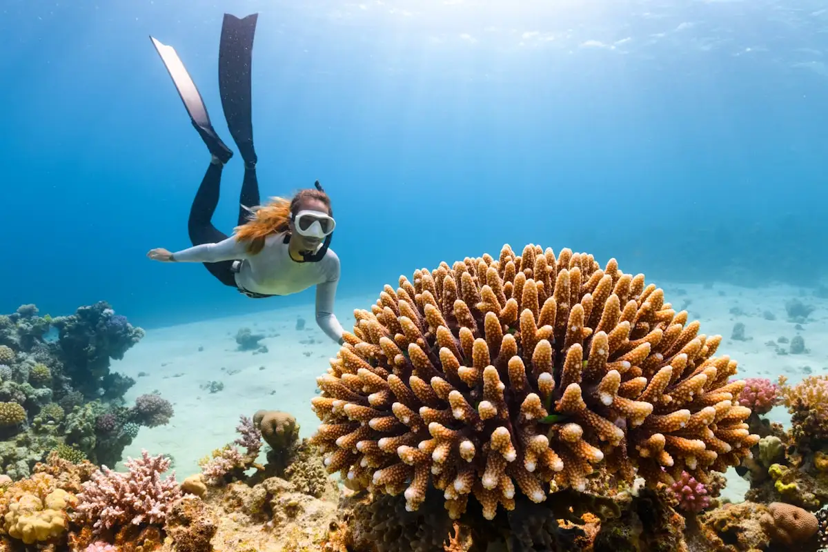 Scuba diver gliding over a vibrant Bali coral reef
